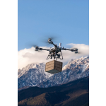 DJI FlyCart 200 carrier drone